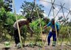 Polri-dalam-hal-ini-Polda-Jatim-khususnya-Bhabinkamtibmas-Desa-Sambibulu