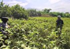 Polwan-Sidoarjo-Turun-ke-Sawah,-Dukung-Ketahanan-Pangan-Lewat-Program-P2L