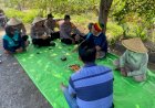 Kapolsek-Balongbendo-Pantau-Kesiapan-Panen-Raya-Jagung,-Petani-Soroti-Harga-dan-Kebutuhan-Bibit