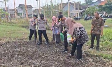 Kapolsek-Tanggulangin-Bersama-Gapoktan-Tanam-Jagung-Hibrida-di-Desa-Kedensari,-Dukung-Ketahanan-Pangan-Nasional