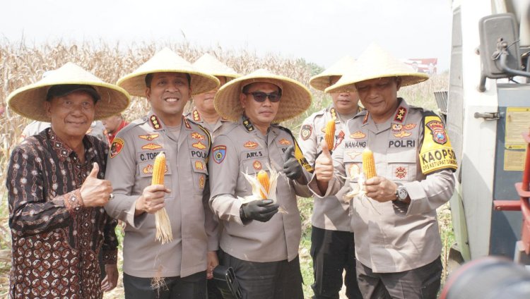 Kapolda Jawa Timur dan Forkopimda Panen Raya Jagung di Prambon Sidoarjo